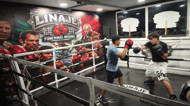 Imagen 1 de la galería del partner Linaje Funcional Boxing