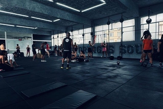 Imagem 2 da galeria do parceiro Team Formigas Souza