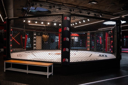 Bild 1 von UFD GYM Düsseldorf Partnergalerie