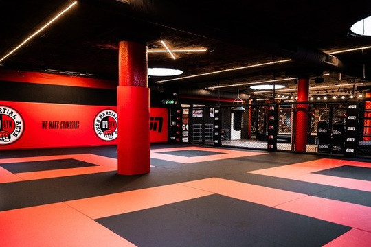 Bild 3 von UFD GYM Düsseldorf Partnergalerie