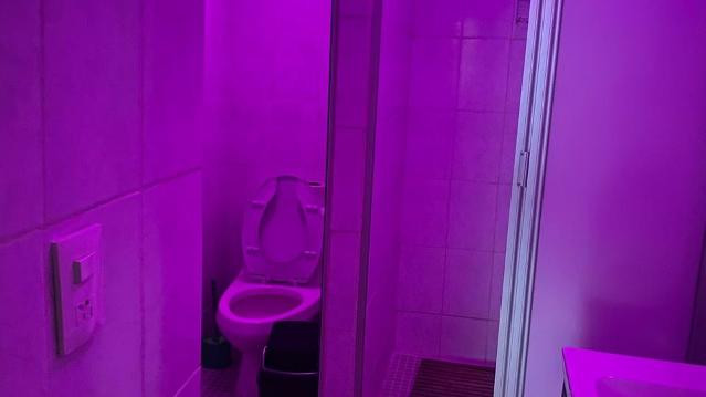 Imagen 3 de la galería del partner Workfuncional30