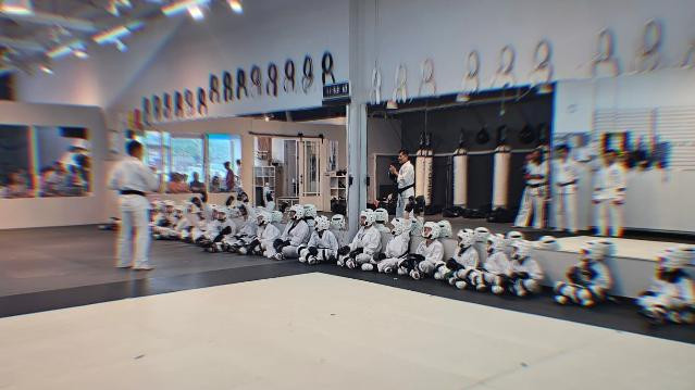 Image 2 from Central Martial Arts partner gallery