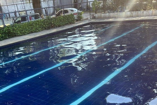 Imagem 1 da galeria do parceiro Estímulos Aquatic Academy RJ