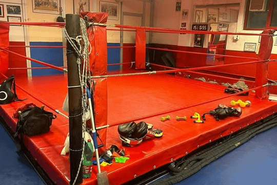 Immagine 1 dalla galleria del partner Savate Boxing Club San Donato Milanese