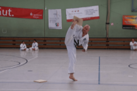 Bild 3 von Taekwon-Do-Club Eckhardt Schlechtinger Partnergalerie