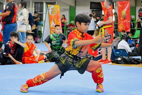 Imagen 2 de la galería del partner Escuela de Kung Fu XINJU Cuauhtémoc