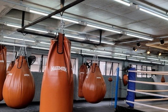 Imagem 3 da galeria do parceiro Boxe Evolution