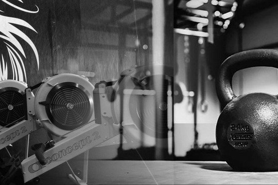 Imagen 1 de la galería del partner lion's den crossfit