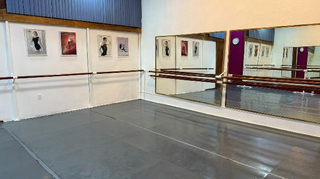 Imagen 1 de la galería del partner Relevé Studio