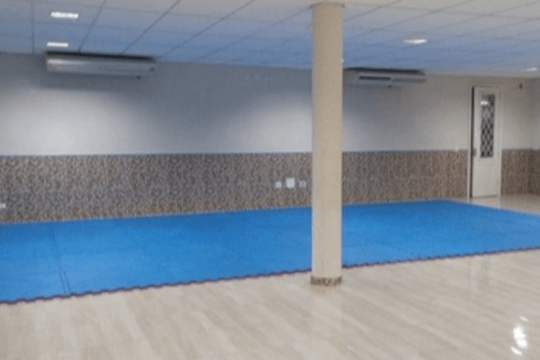 Imagem 3 da galeria do parceiro 74310 MMA