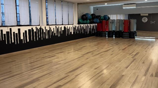 Immagine 2 dalla galleria del partner Dance&Moving