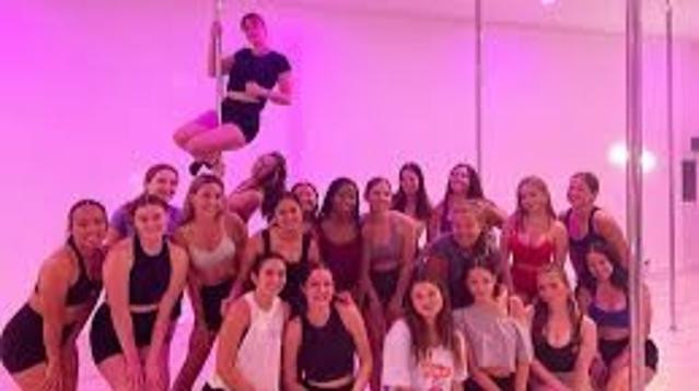 Image 3 from The Wild Sky Pole Dance Studio partner gallery