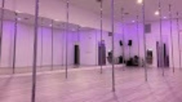 Image 2 from The Wild Sky Pole Dance Studio partner gallery