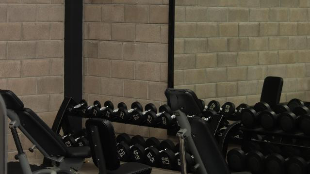 Imagen 1 de la galería del partner GOLD SILVER