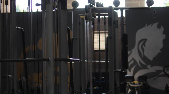 Imagen 3 de la galería del partner GOLD SILVER