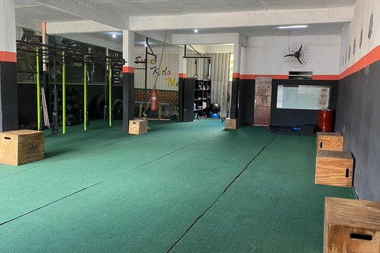 Imagem 1 da galeria do parceiro Dragons CT