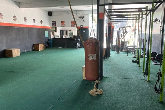 Imagem 3 da galeria do parceiro Dragons CT