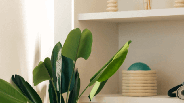 Immagine 3 dalla galleria del partner IKI Club Pilates