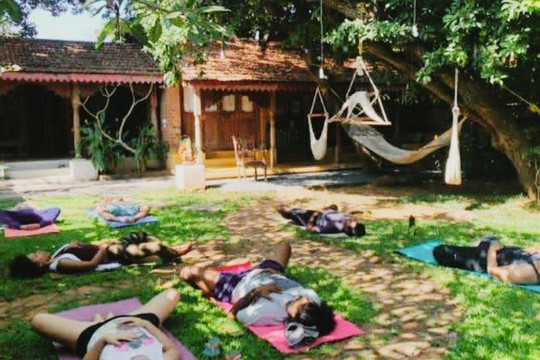 Imagem 2 da galeria do parceiro Vinyasa Yoga Paranaguá