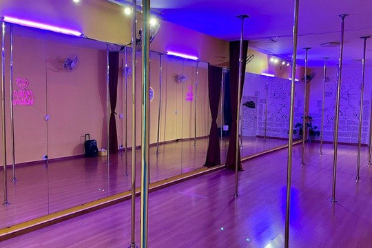 Imagem 2 da galeria do parceiro Maravilhosas Pole E Dança