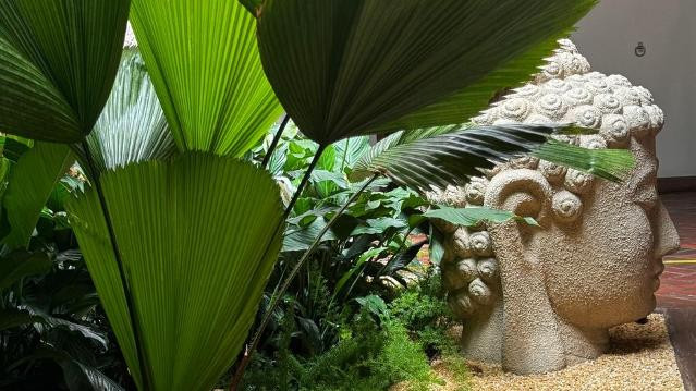 Imagem 3 da galeria do parceiro Yoga BH Studio