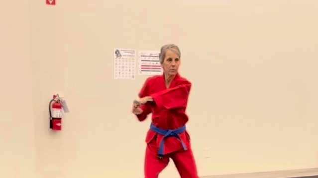 Image 3 de la galerie du partenaire Northern Karate Barrie