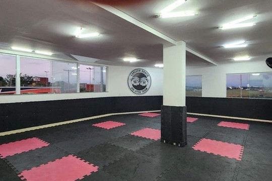 Imagem 3 da galeria do parceiro Carlson Gracie Lu Guimarães