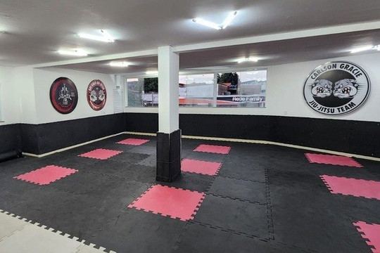 Imagem 1 da galeria do parceiro Carlson Gracie Lu Guimarães