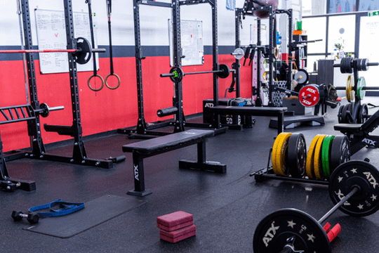 Immagine 1 dalla galleria del partner ELEVATE