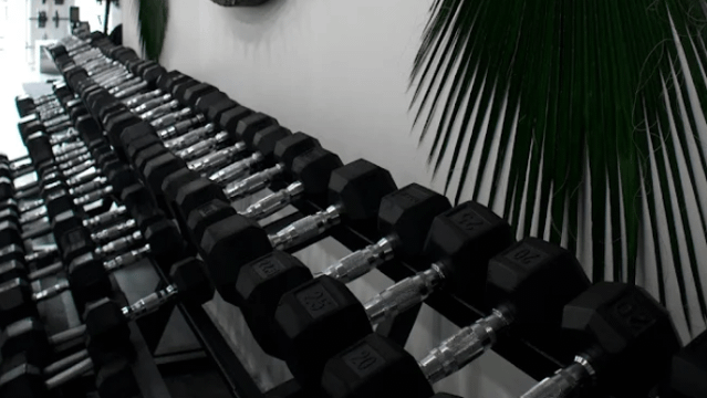 Image 3 from The 1 Fitness - Gahanna partner gallery