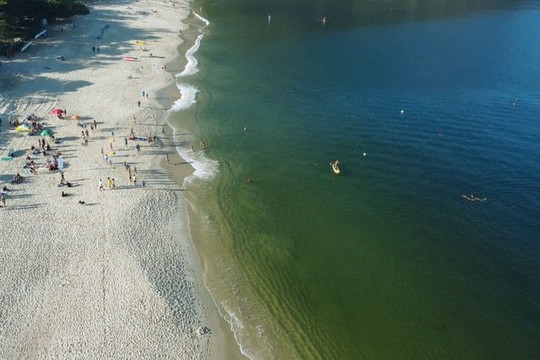 Imagem 2 da galeria do parceiro Equipe Mar in Timos - Aulas de Natação em águas abertas para iniciantes e Avançados