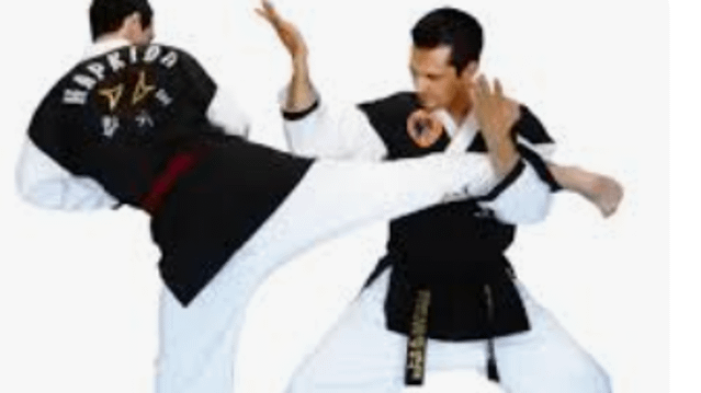 Image 1 from New Jersey Combat Hapkido - East Millstone partner gallery