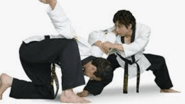 Image 3 from New Jersey Combat Hapkido - East Millstone partner gallery