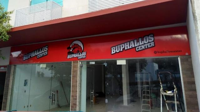 Imagem 2 da galeria do parceiro Buphallos Center