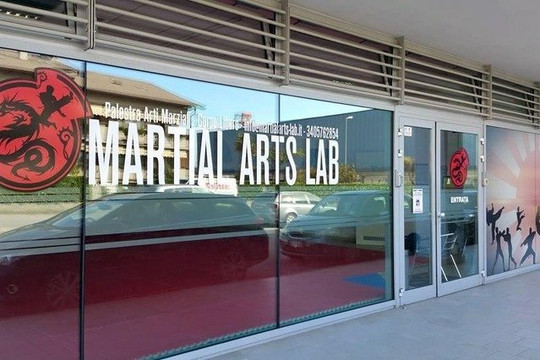 Immagine 2 dalla galleria del partner Martial Arts Lab