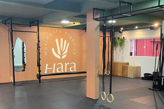 Imagem 1 da galeria do parceiro Hara | Yoga e Movimento Orgânico