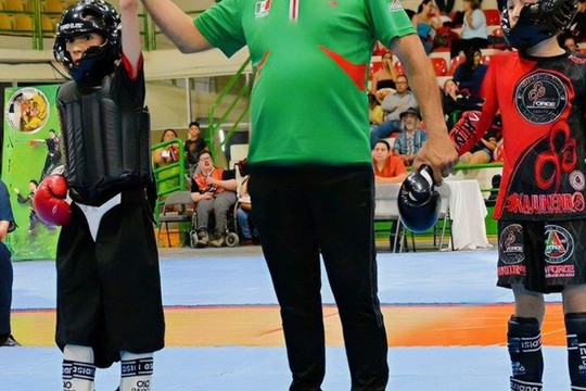 Imagen 3 de la galería del partner Escuela XINJU Villas del Real