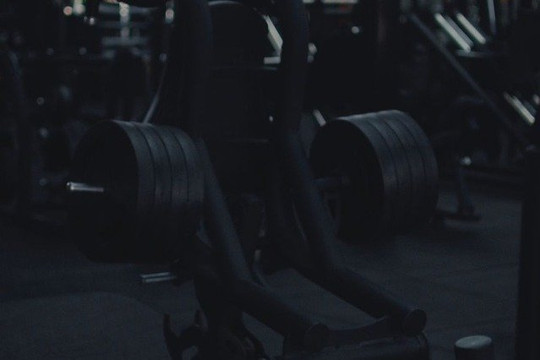 Imagem 3 da galeria do parceiro Academia Plataforma Fitness - Aracruz