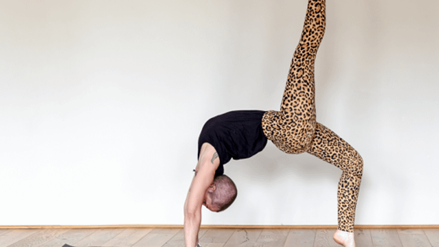 Bild 2 von Ekatra Yogastudio Erfurt Evelyn Bierbach Partnergalerie