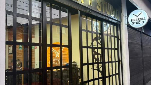 Imagen 2 de la galería del partner Sinergia Studio