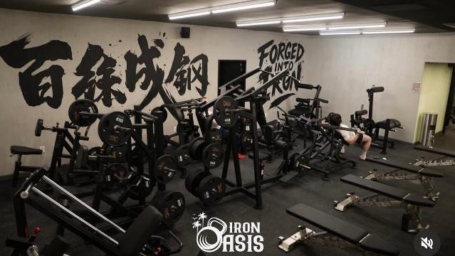 Image 1 from Iron Oasis East Inc partner gallery