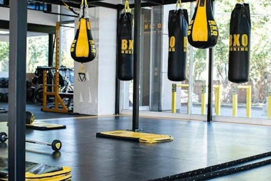 Imagen 1 de la galería del partner BXO Boxing