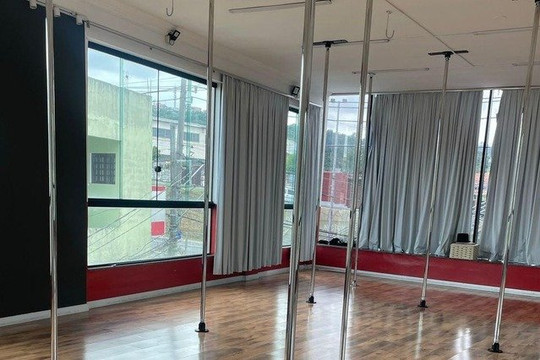 Imagem 1 da galeria do parceiro Ikigai Pole Studio