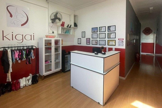 Imagem 3 da galeria do parceiro Ikigai Pole Studio