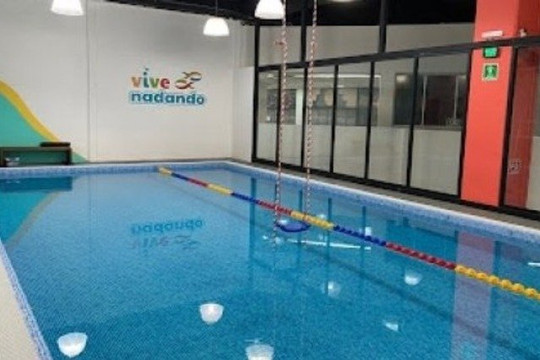 Imagen 3 de la galería del partner Vive Nadando Interlomas