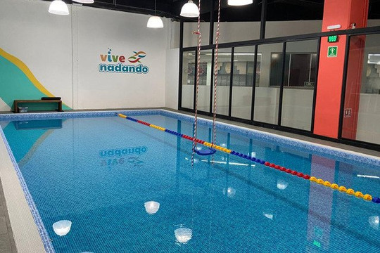 Imagen 1 de la galería del partner Vive Nadando Interlomas