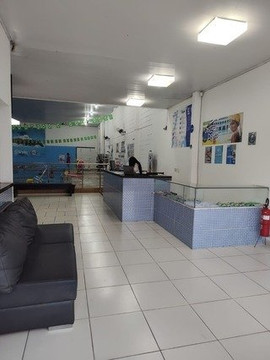 Imagem 3 da galeria do parceiro Escola de Natação Stylo