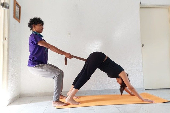 Imagen 3 de la galería del partner Curliva