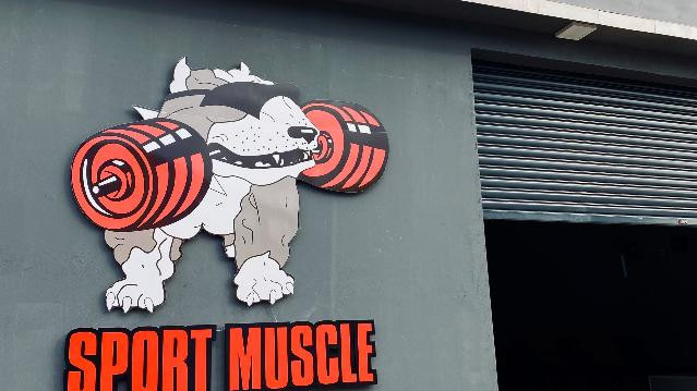 Imagem 2 da galeria do parceiro Sport Muscle