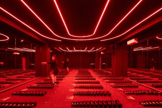 Imagen 3 de la galería del partner HĀBICO (Corecamp)